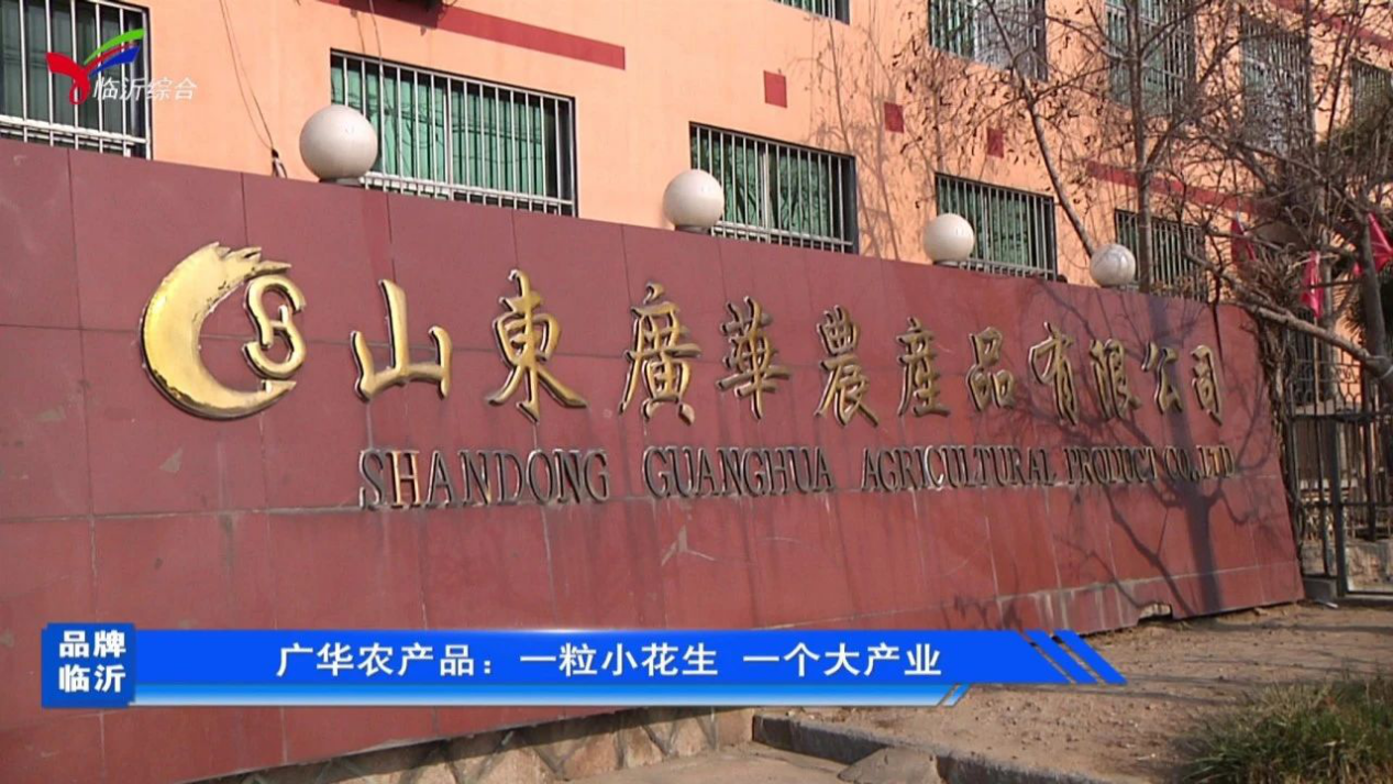 图片12