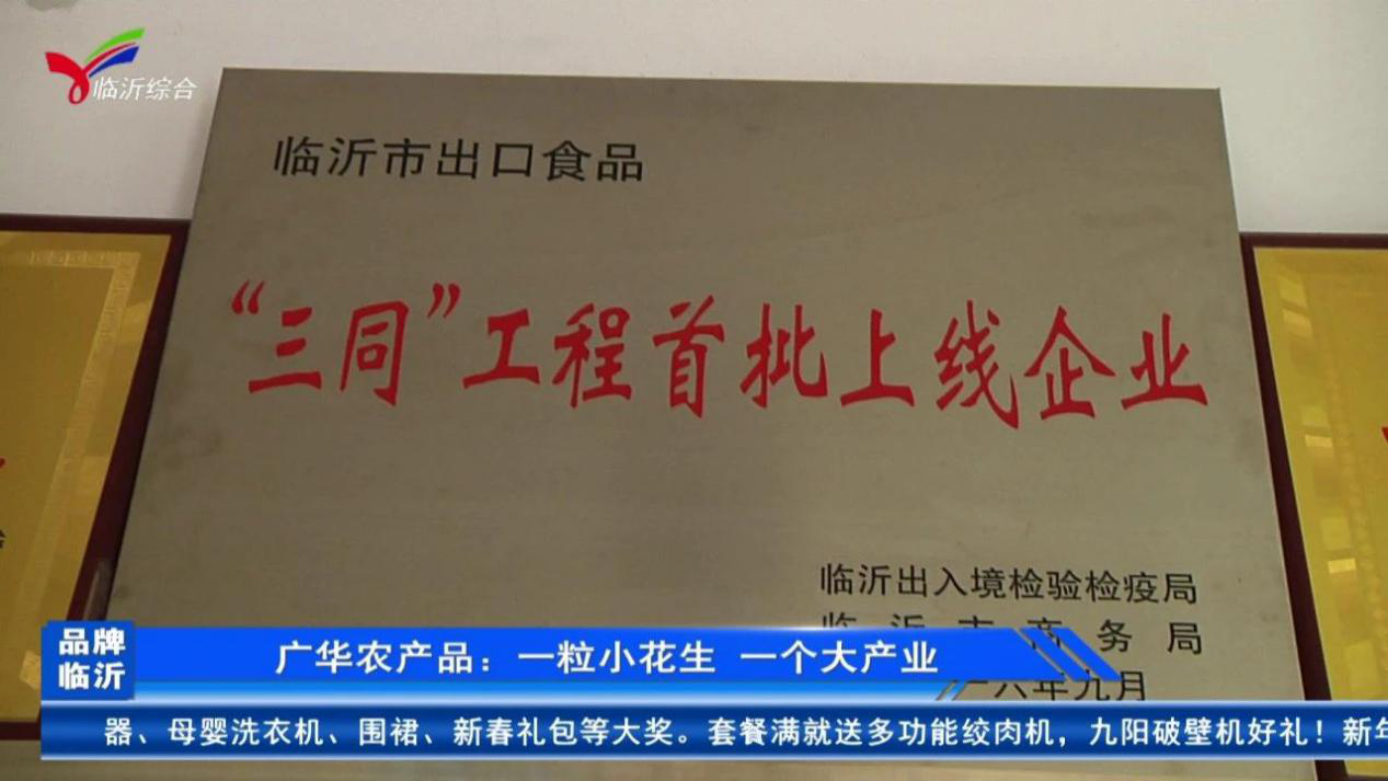 图片6