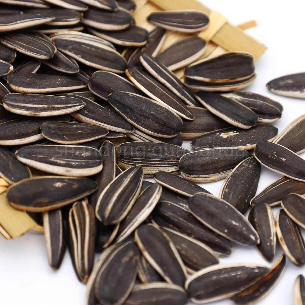 Sunflower seeds